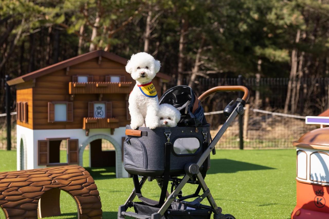 Kensington Resort Seorak Valley Сокчхо Екстер'єр фото