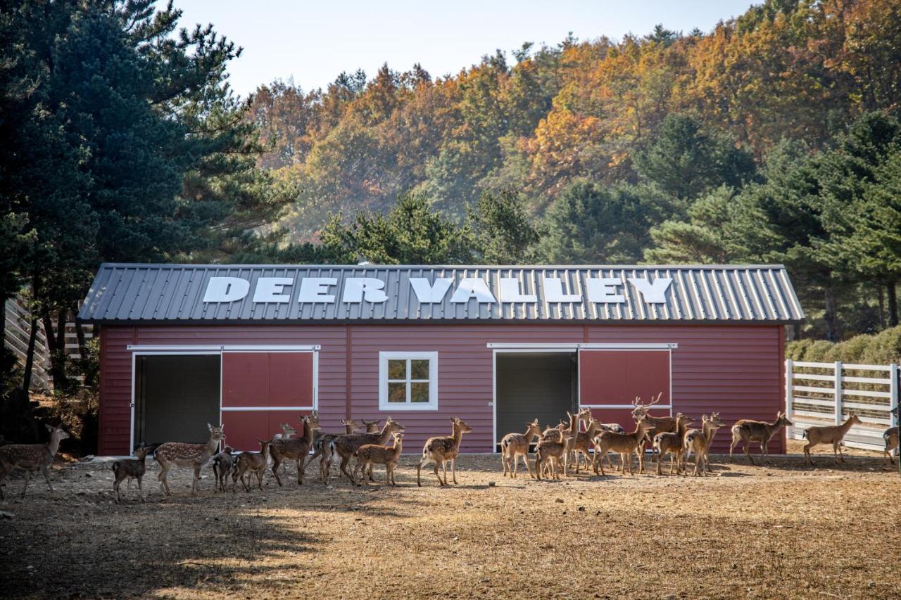 Kensington Resort Seorak Valley Сокчхо Екстер'єр фото